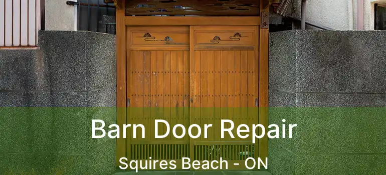 Barn Door Repair Squires Beach - ON