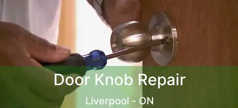 Door Knob Repair Liverpool - ON