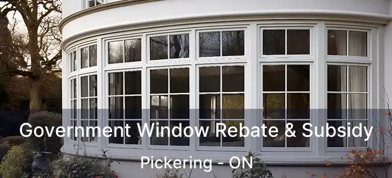 Government Window Rebate & Subsidy Pickering - ON