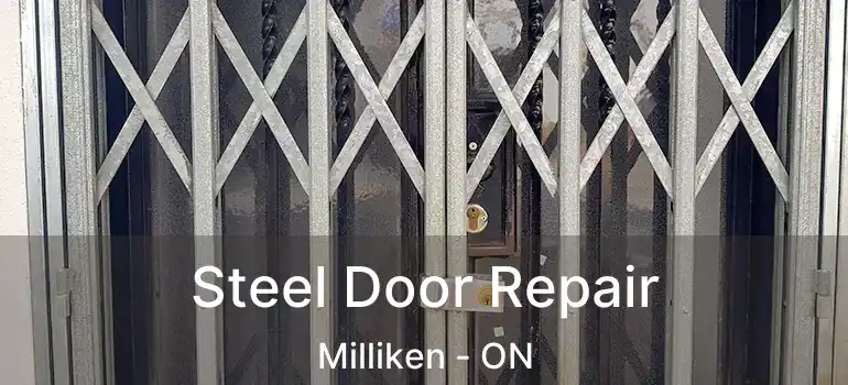 Steel Door Repair Milliken - ON