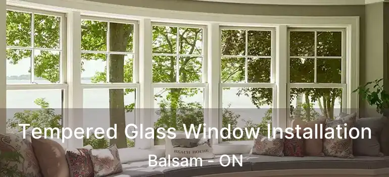 Tempered Glass Window Installation Balsam - ON