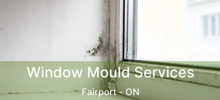 Window Mould Services Fairport - ON