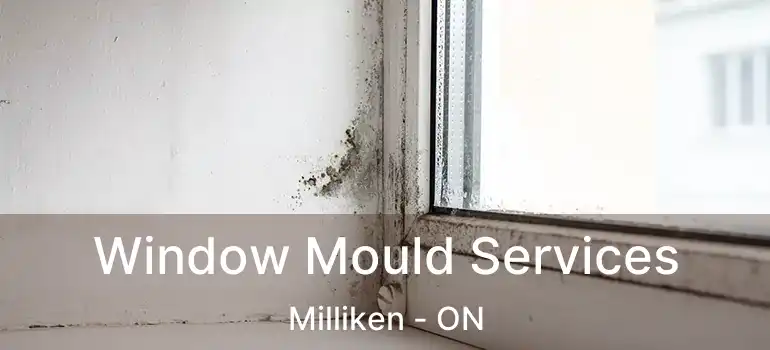 Window Mould Services Milliken - ON