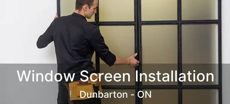 Window Screen Installation Dunbarton - ON